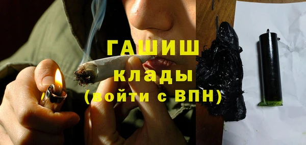 стаф Алзамай