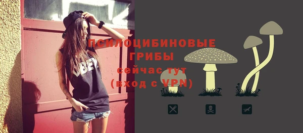 гидра Абаза