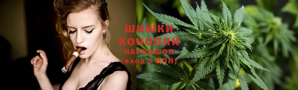 гидра Абаза