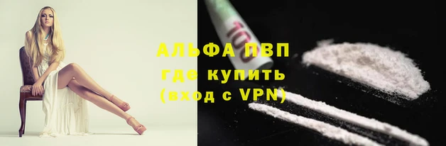 гидра Абаза