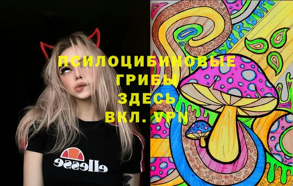 мет Алексин