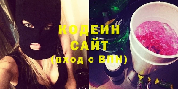 мет Алексин